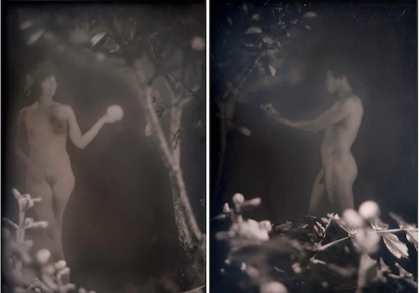 Adam and Eve diptych