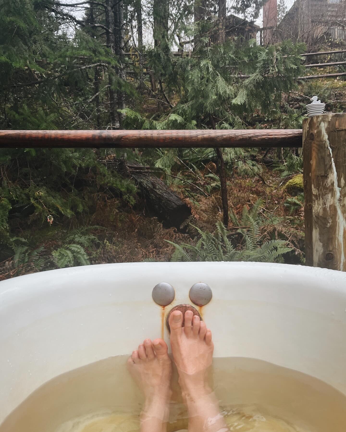 Went off the grid for a few days, bathed naked in the forest and listened to the sound of water over rocks, watched a mama deer and her two babies eat grass in a meadow, and a family of varied thrush hop around in puddles, read about wintering, made 