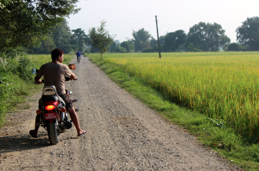 Feeling adventurous? Rent a motorbike and explore surrounding rice fields.