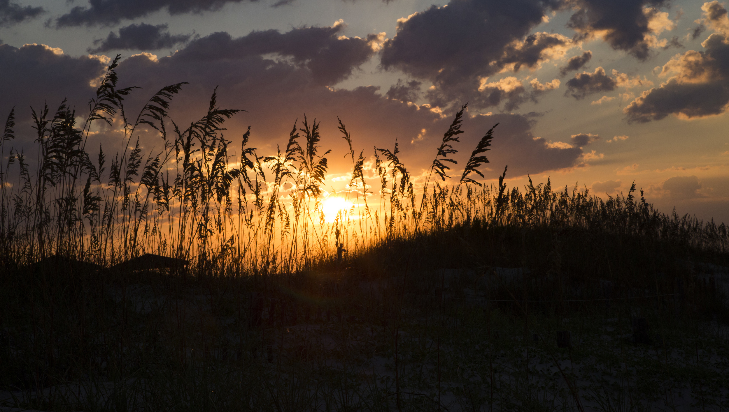  Holden Beach, N.C. 2014. 