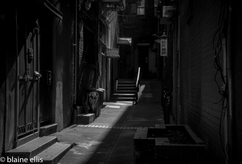 2016DSC05559 copy.jpg