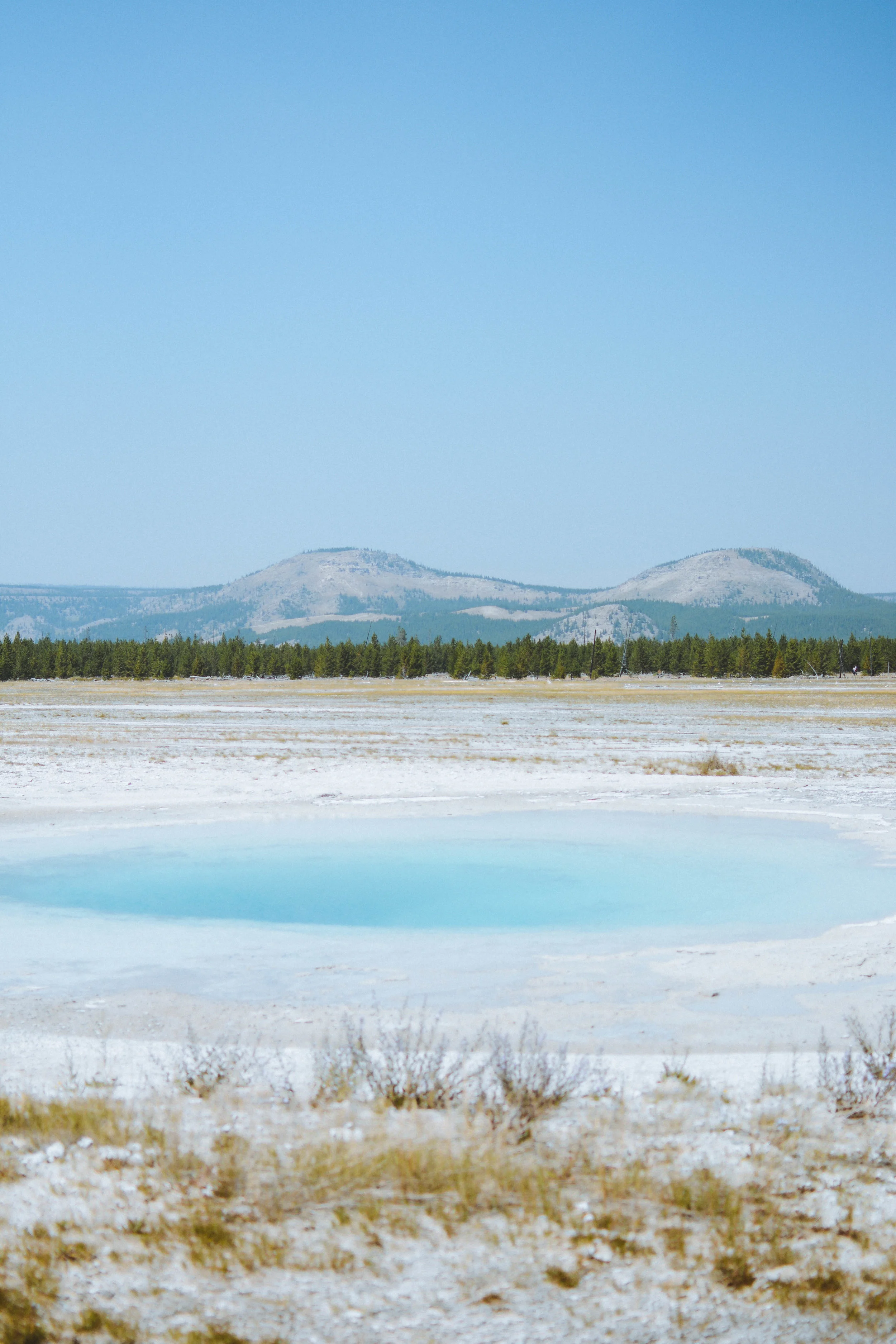 DSC_0817.jpg