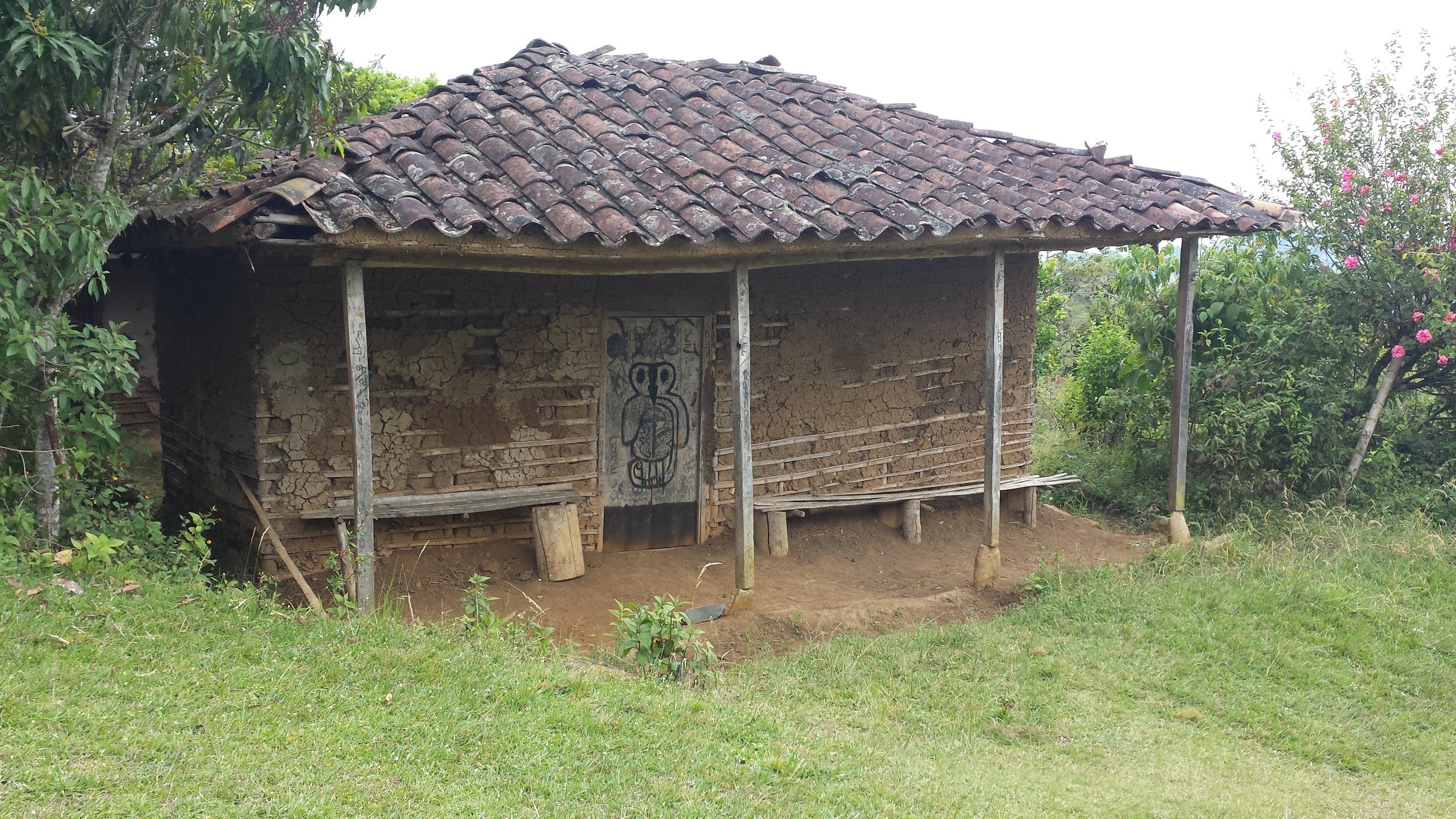20141026_115441.jpg