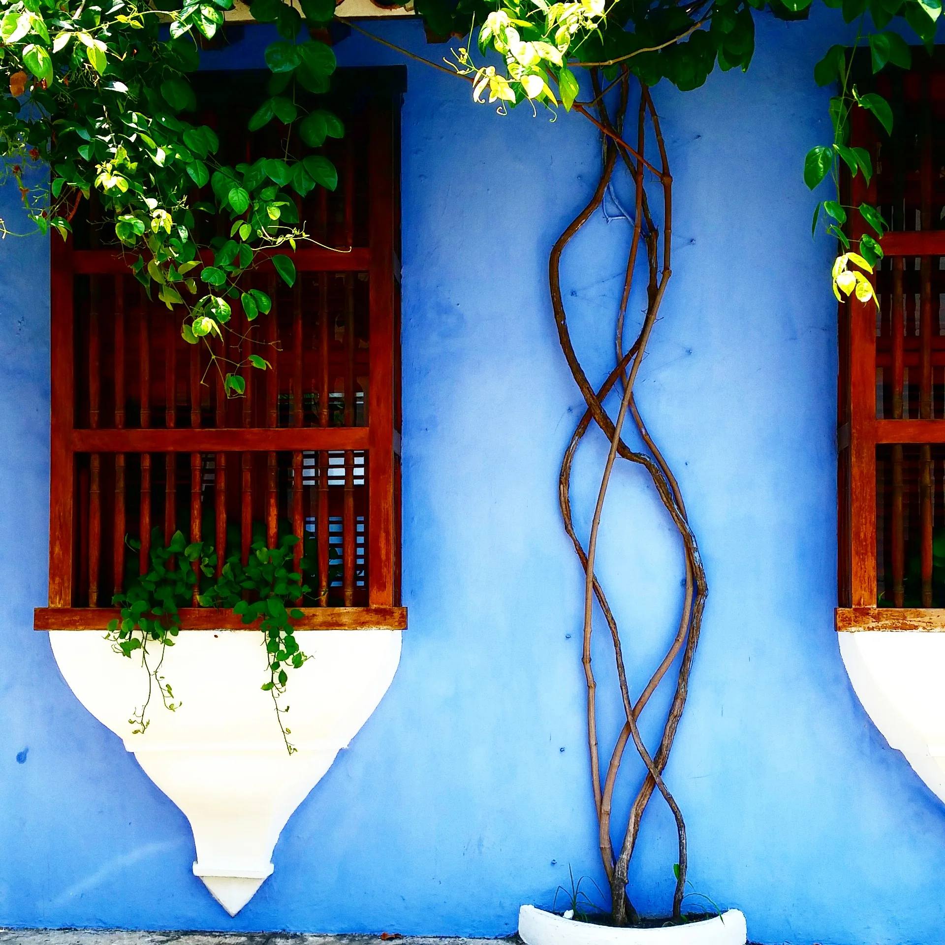 I can rarely stop by a colored wall without taking a picture of it. The form and structure are captivating to me. I think this is just beautiful art and I don't know why we don't color our building walls more often.