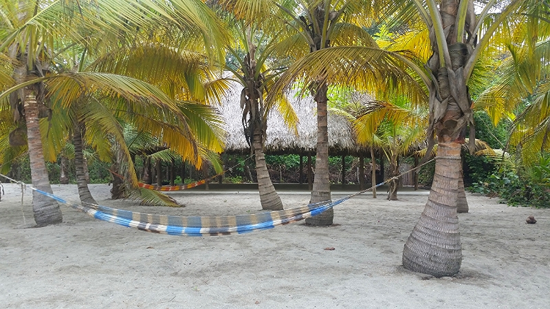 The yoga rancho