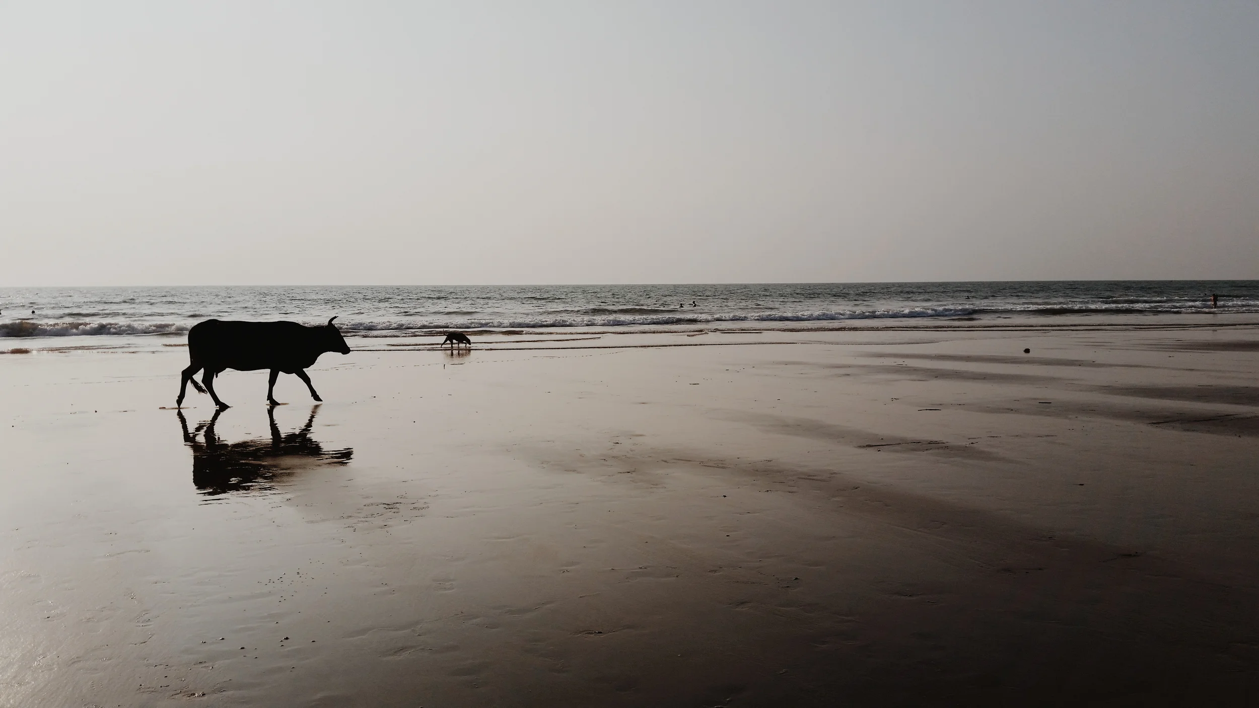 Bored of busy and greetings from Goa, India