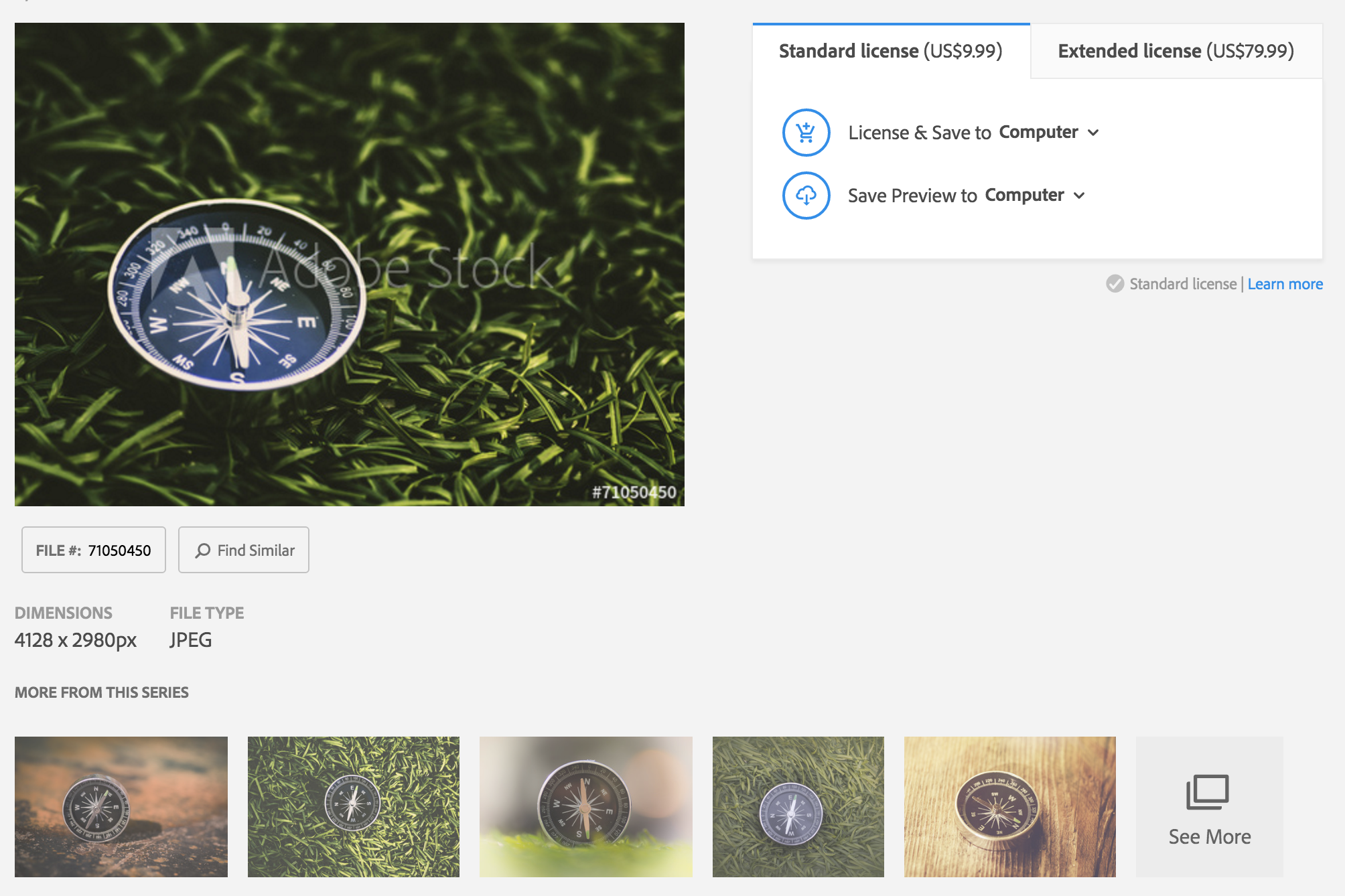 Example of the related section from Adobe Stock 