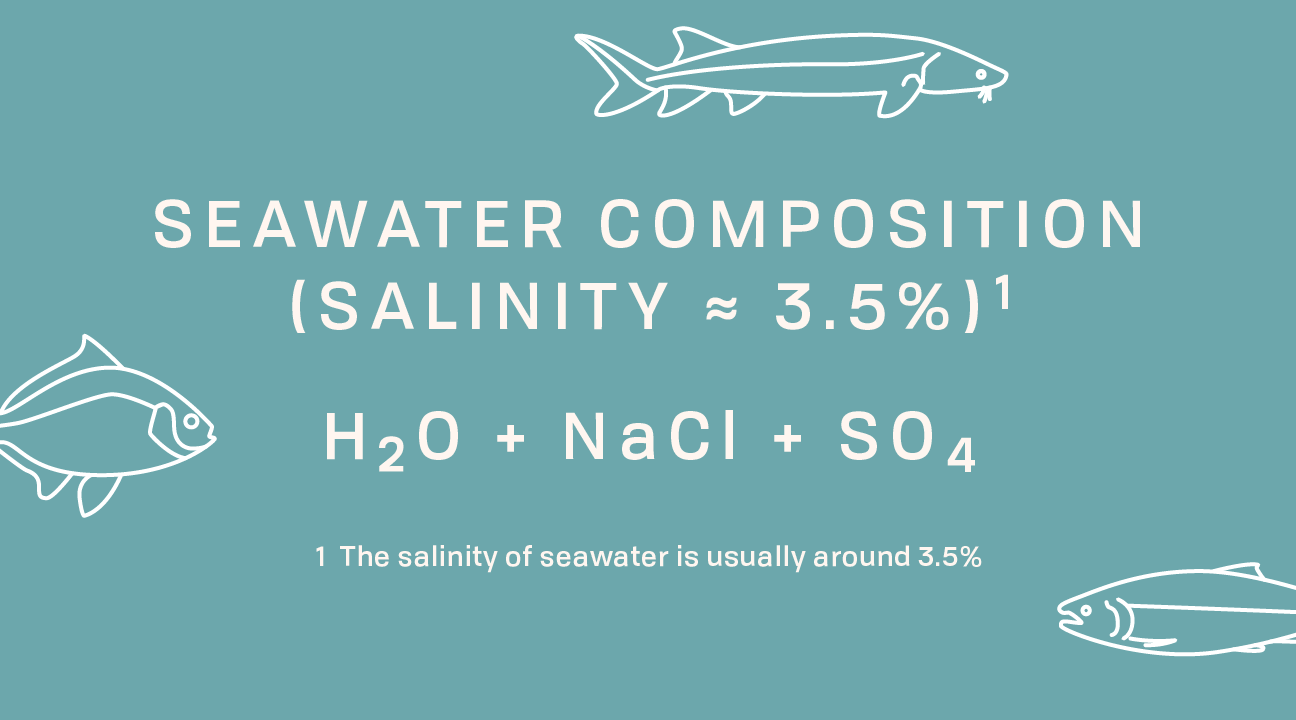 Tofino_Specimen 4.png