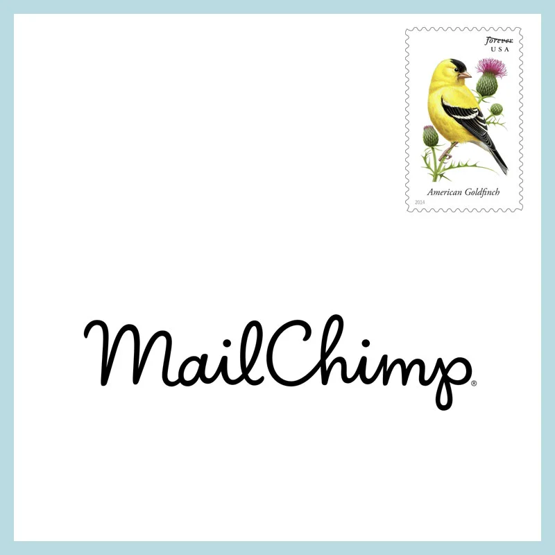 Mailchimp newsletter design by Stefani Greenwood