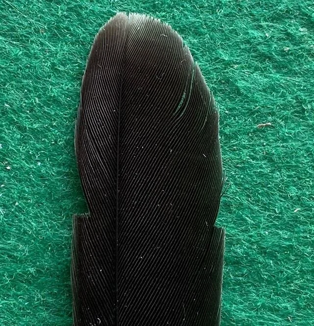 the triangle notches on each side really caught my eye? do you know anything about them?