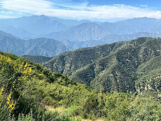 cure for what ails me x