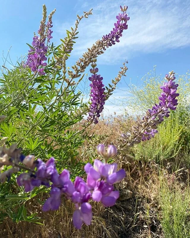 trying to ignore some feelings and this photo worked for a bit