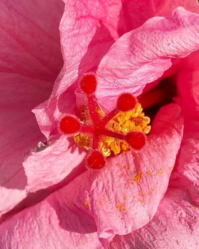 kinda obsessed right now