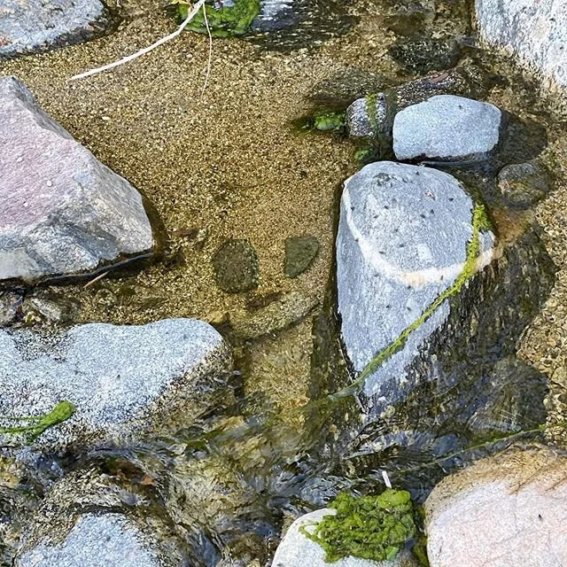 is that smily face a friend from earth or maybe, i really hope so a gift from poppy on a day where i really needed a smile. i miss poppy so much and it is hard for me to even type this ๐ง