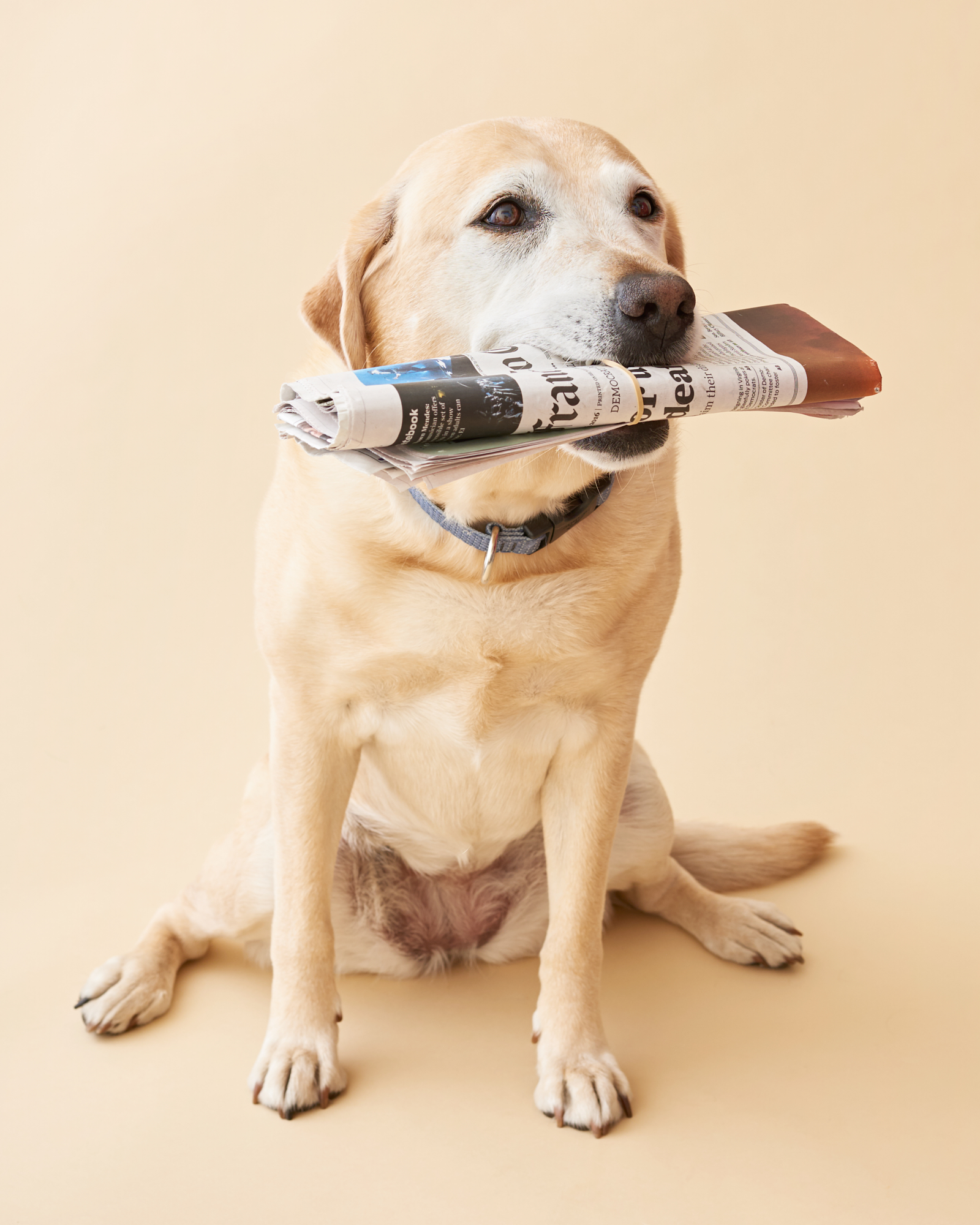 sage_sundance_0005.jpg