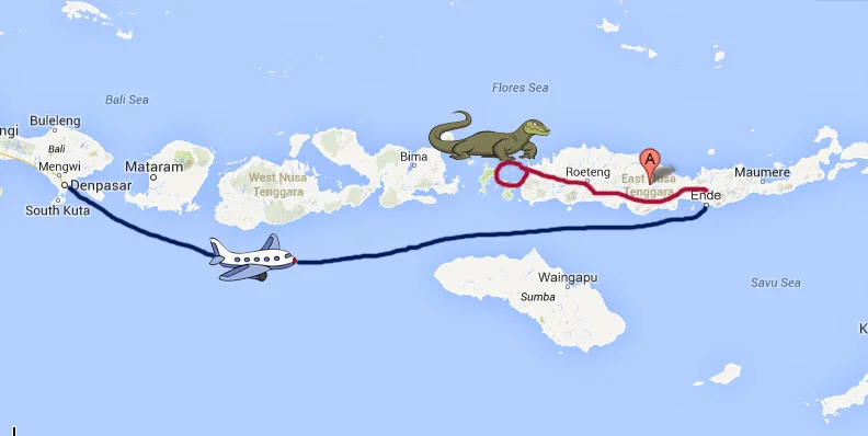 I flew into Ende and worked my way west overland to Labuan Bajo and Komodo National Park