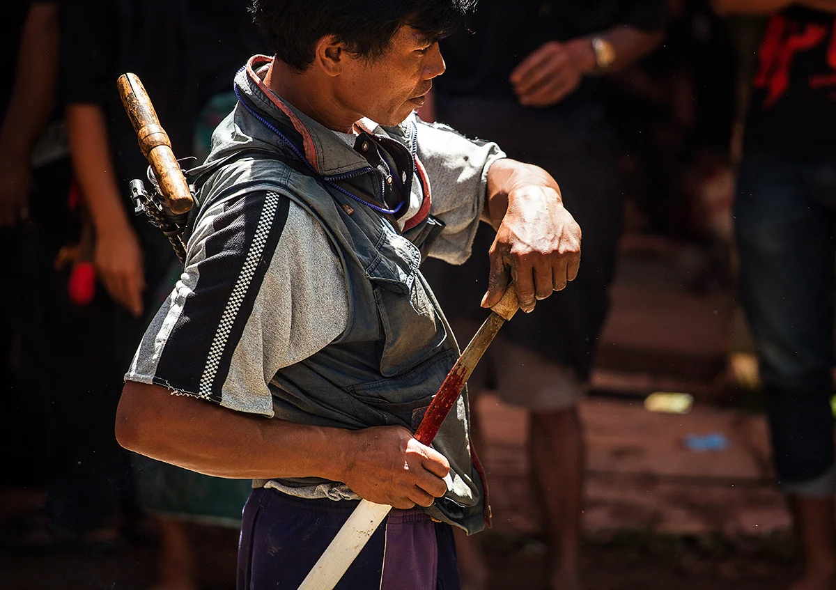 A man sheathes his sword after killing a pig