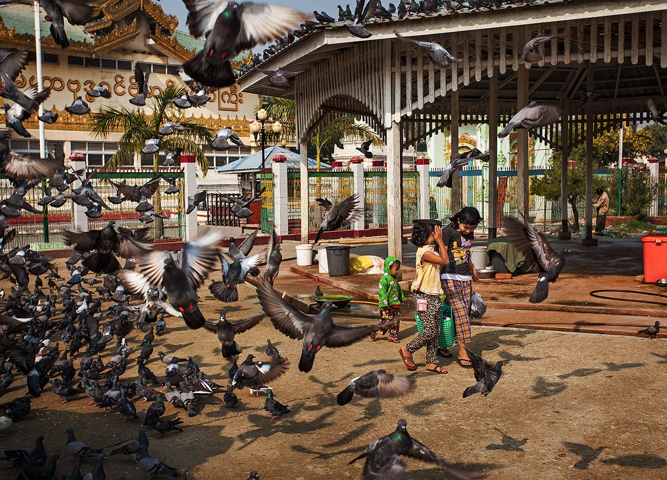 Kids walk through the pigeons that feed in front of the Mahamuni pagoda