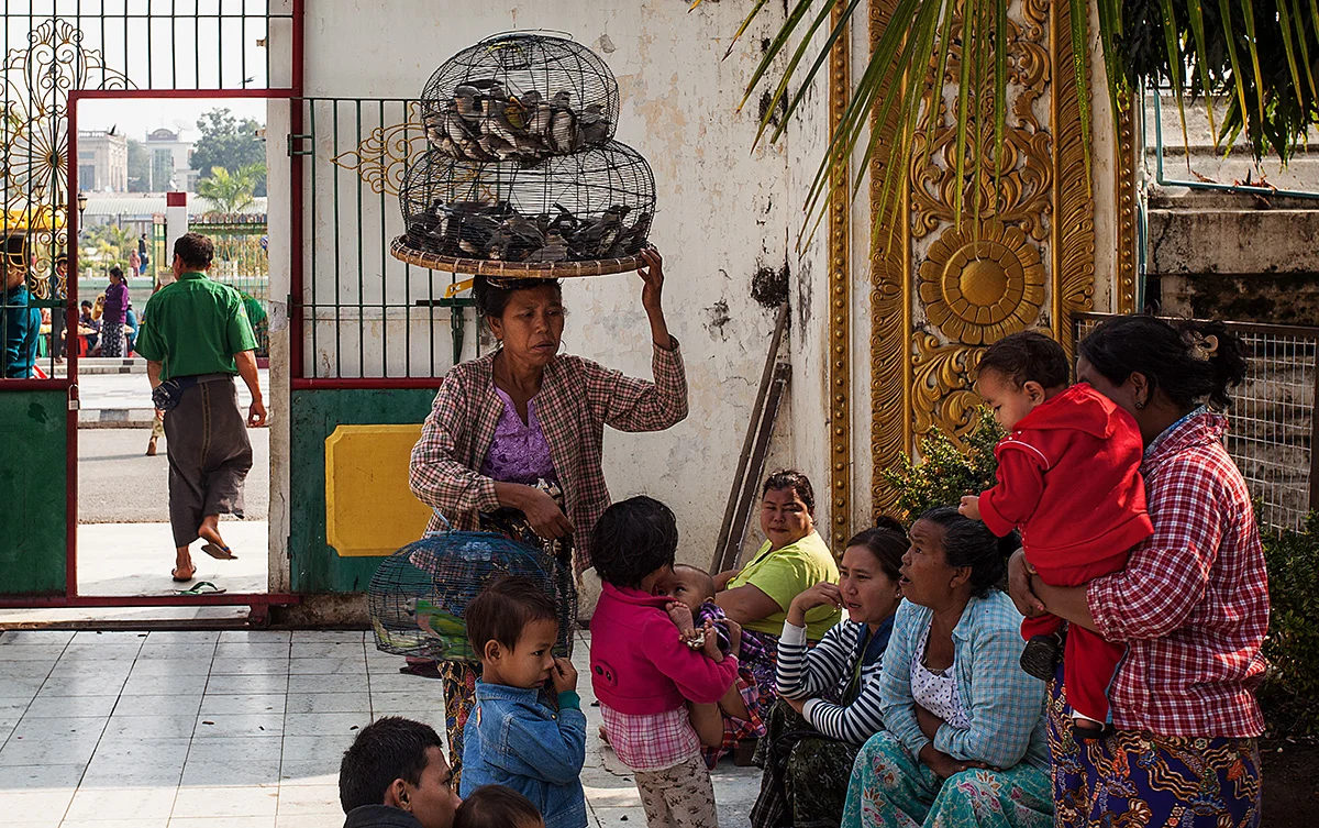 Buddhists often buy a bird to set it free, which is said to earn merit