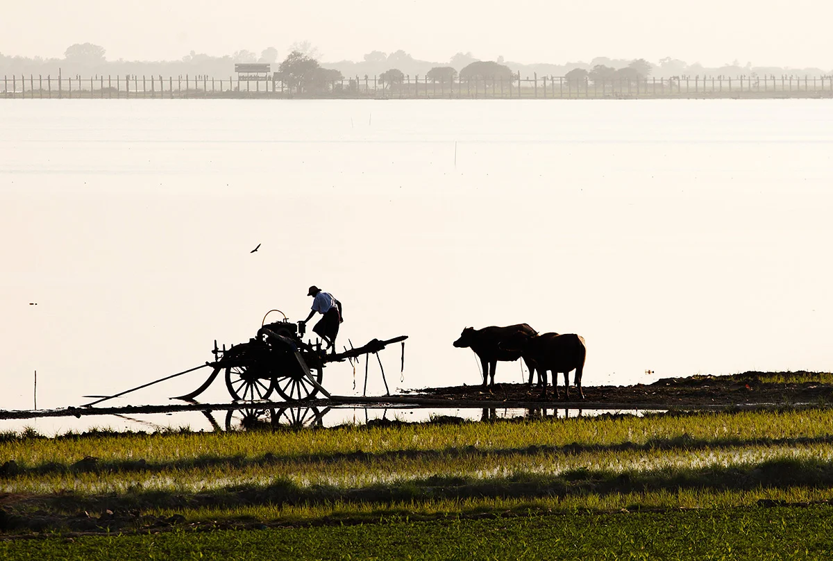 A farmer works with the Ubein Bridge in the background
