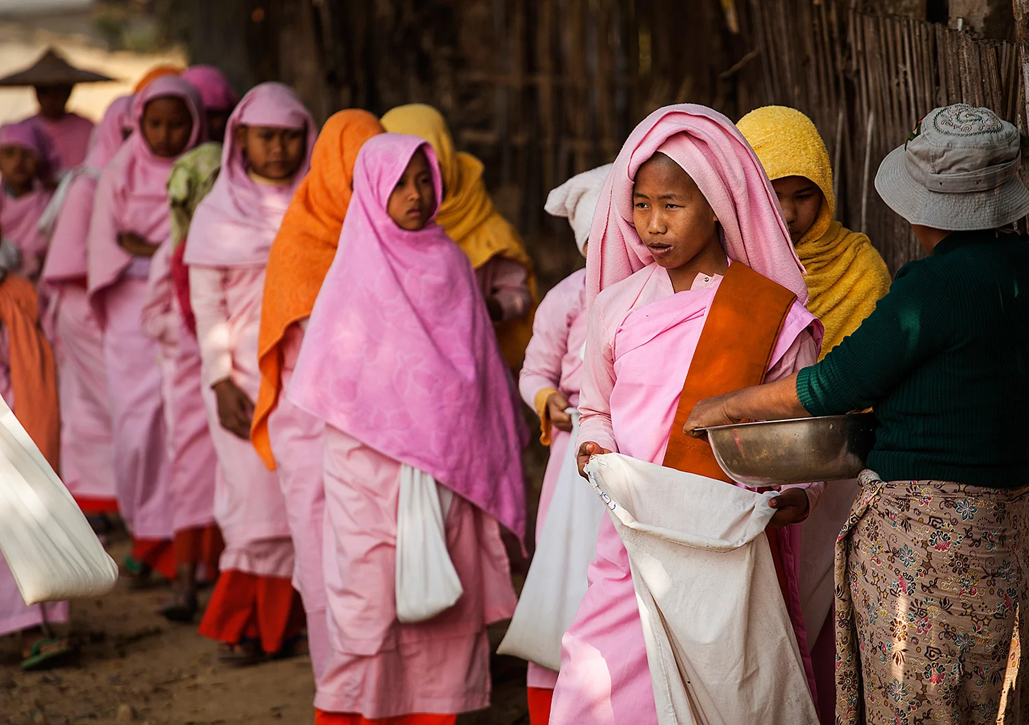 the monkettes collecting alms