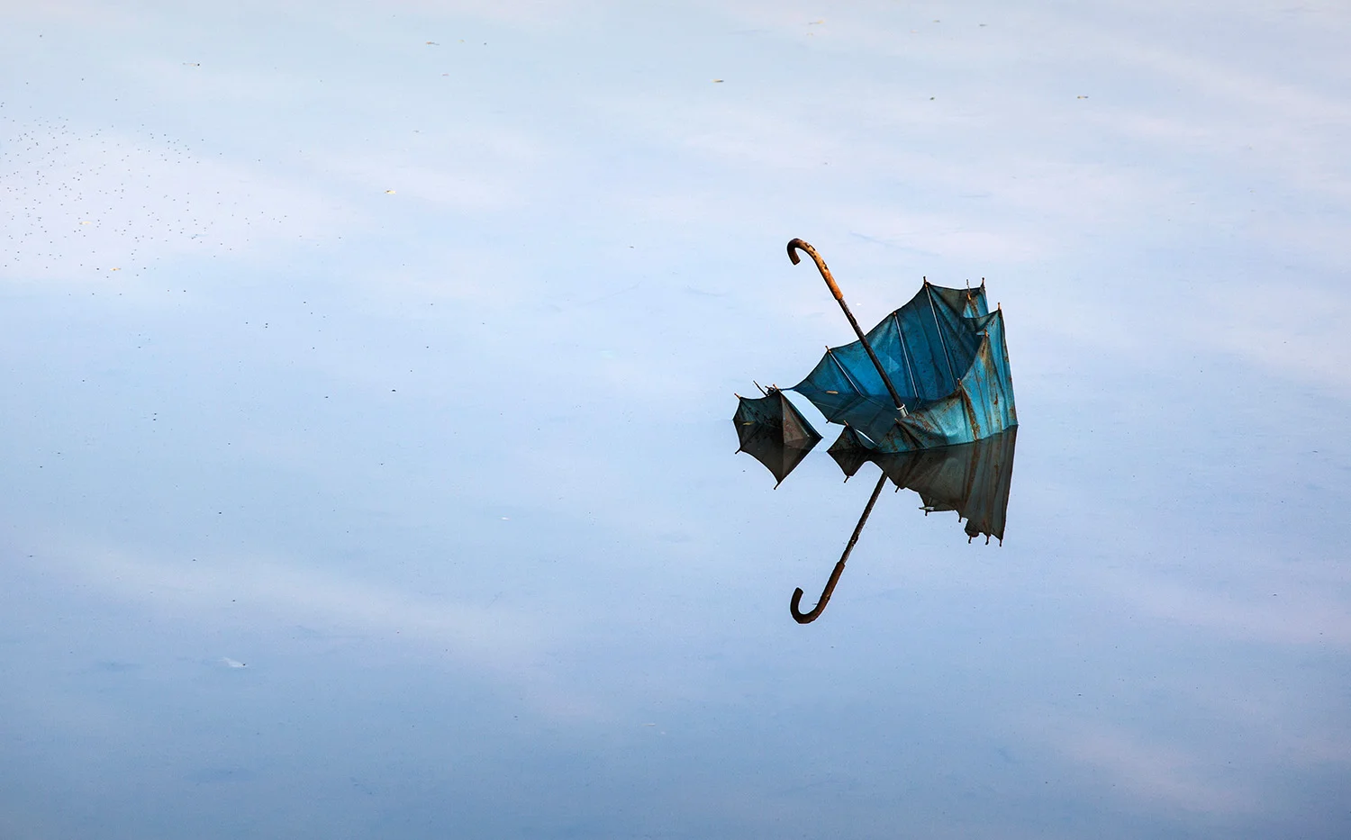 a lonesome umbrella