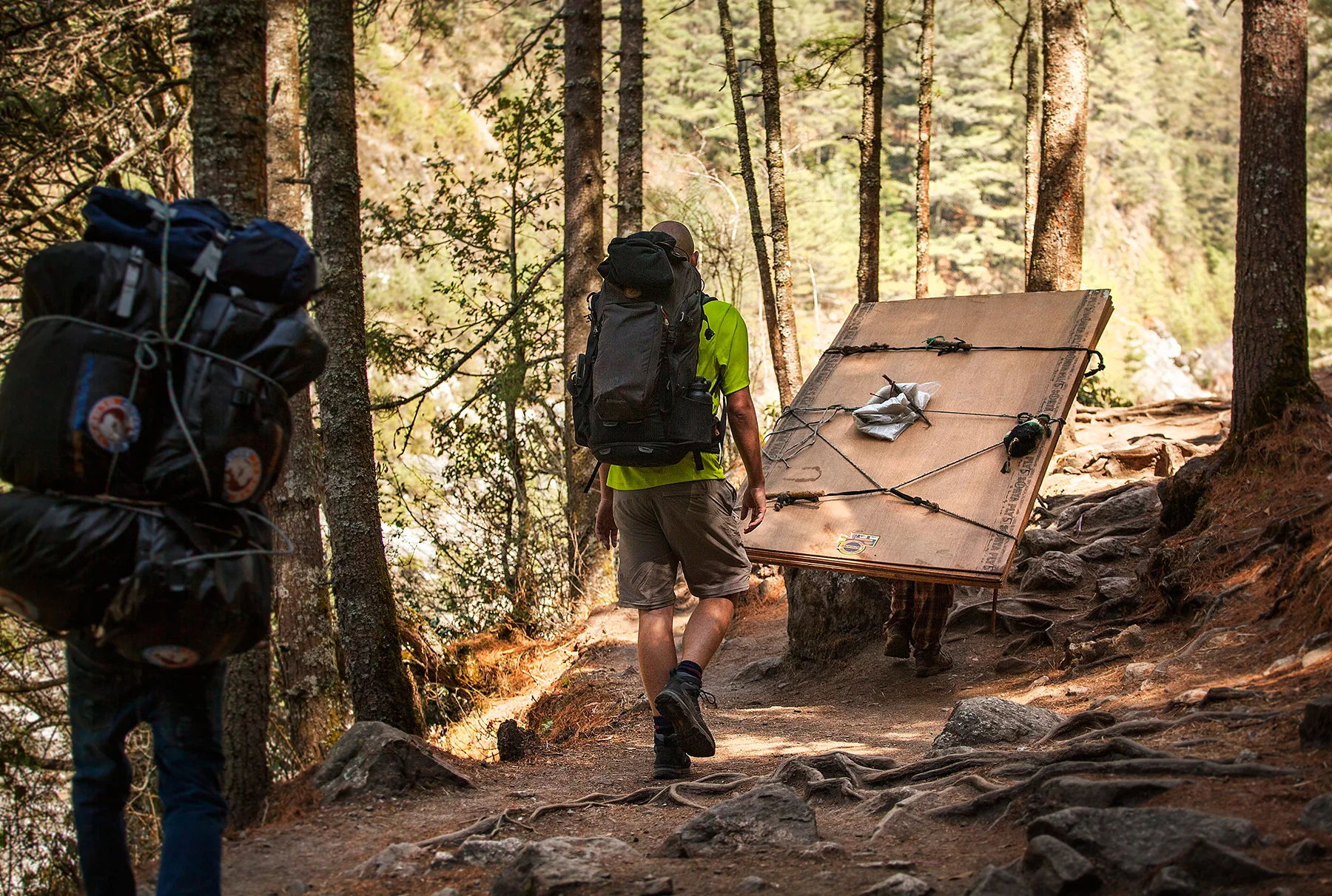 follow that plywood!