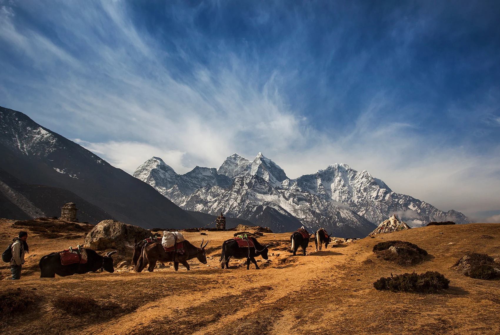 One of many yak trains