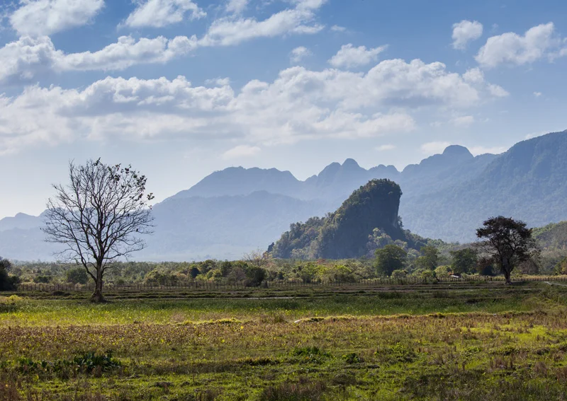 lush countryside
