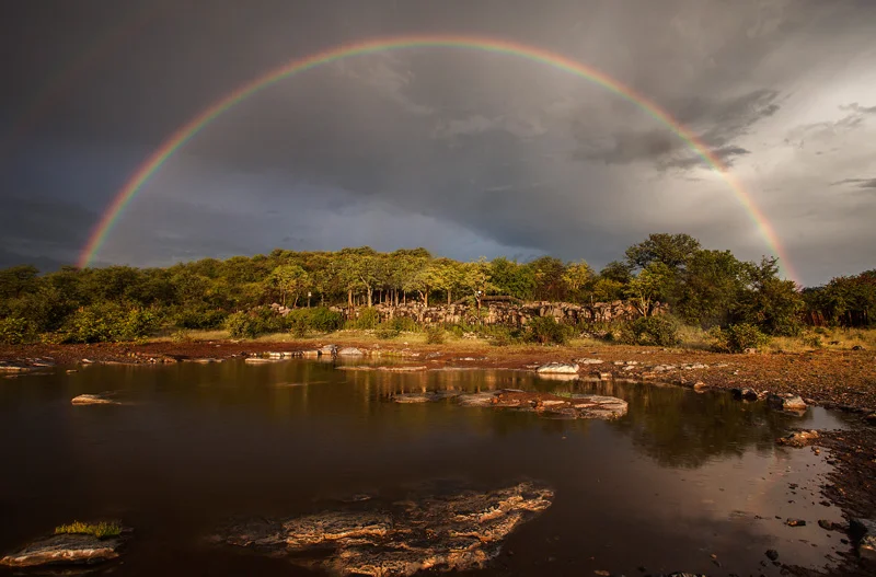 rainbow over the watering hole