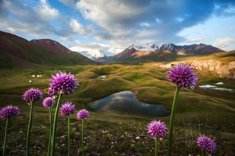 ahhh Kyrgyzstan. never disappoints