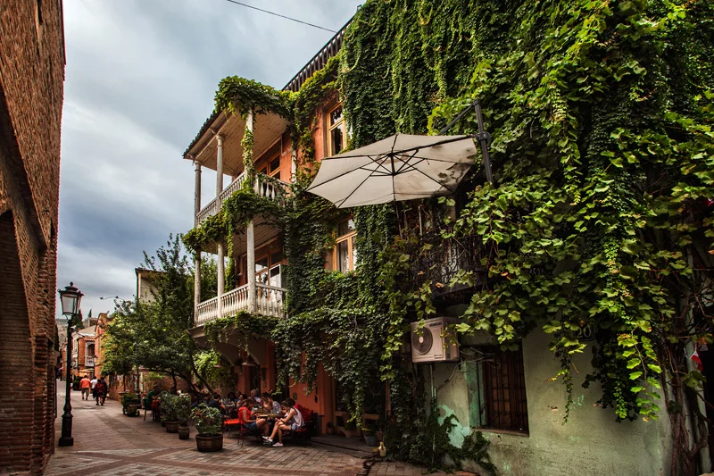 vines give the buildings some character
