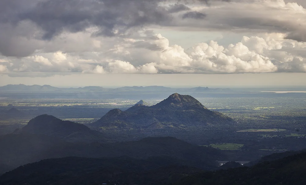 the landscape