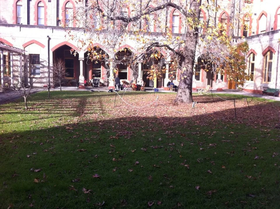 The Courtyard looking over to the St Heliers General Store