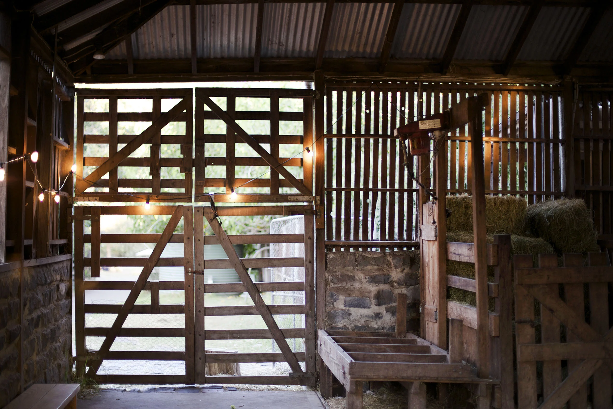 Cheryl and Campbell's vintage farm wedding