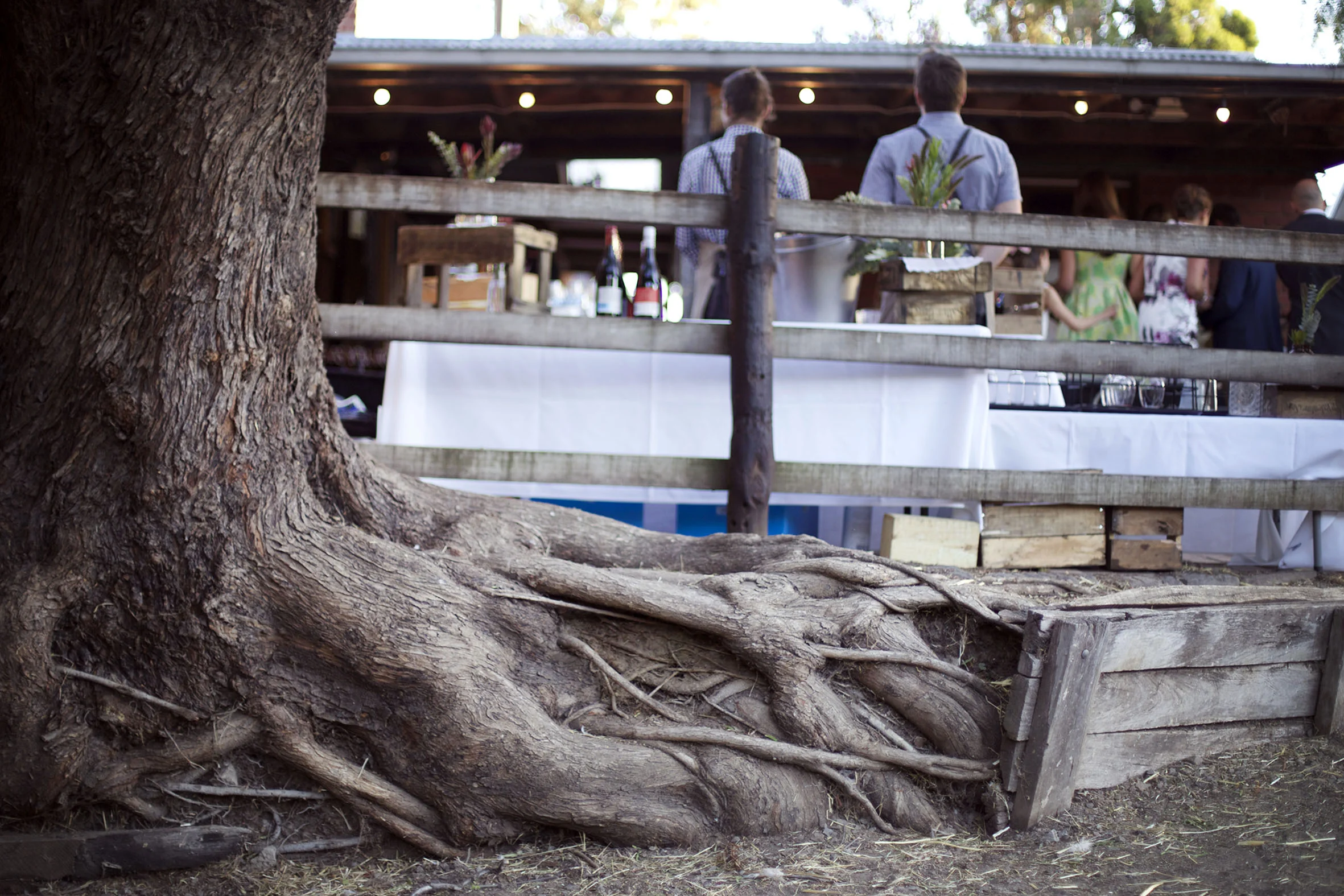 Cheryl and Campbell's vintage farm wedding