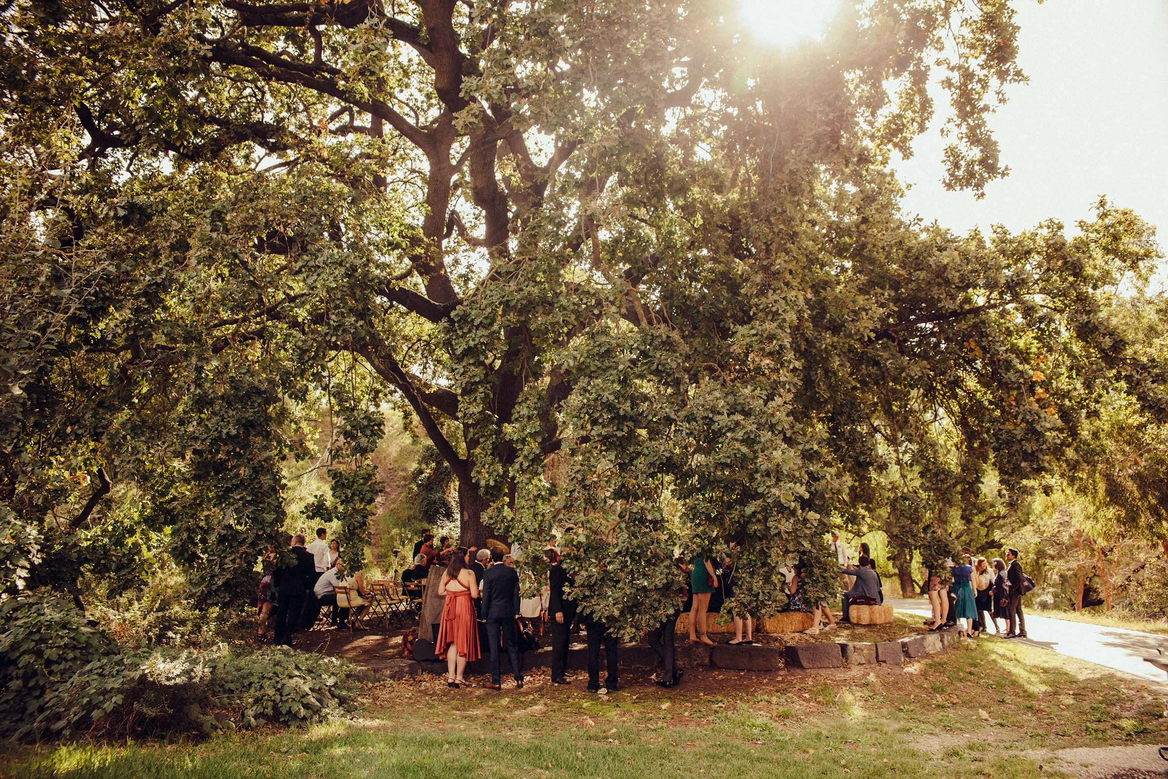 Before the Ceremony-66.jpg