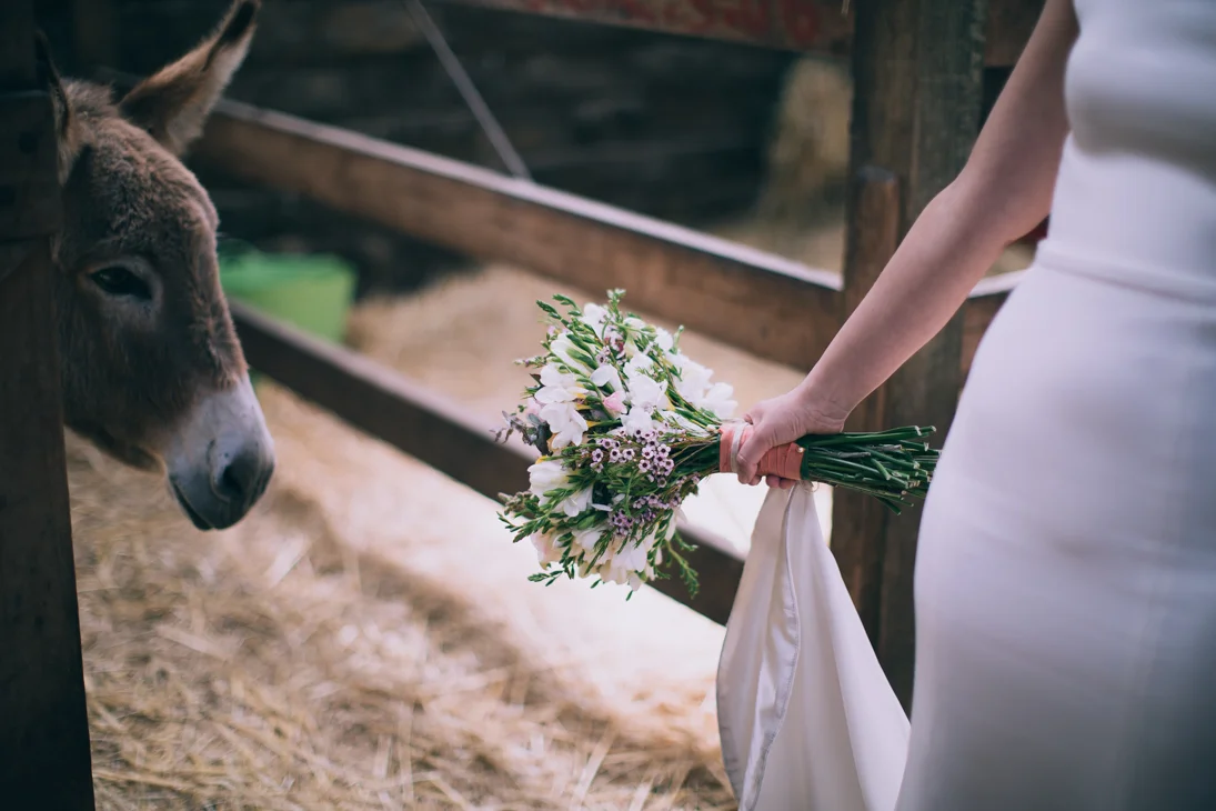 Photo by Timothy Marriage