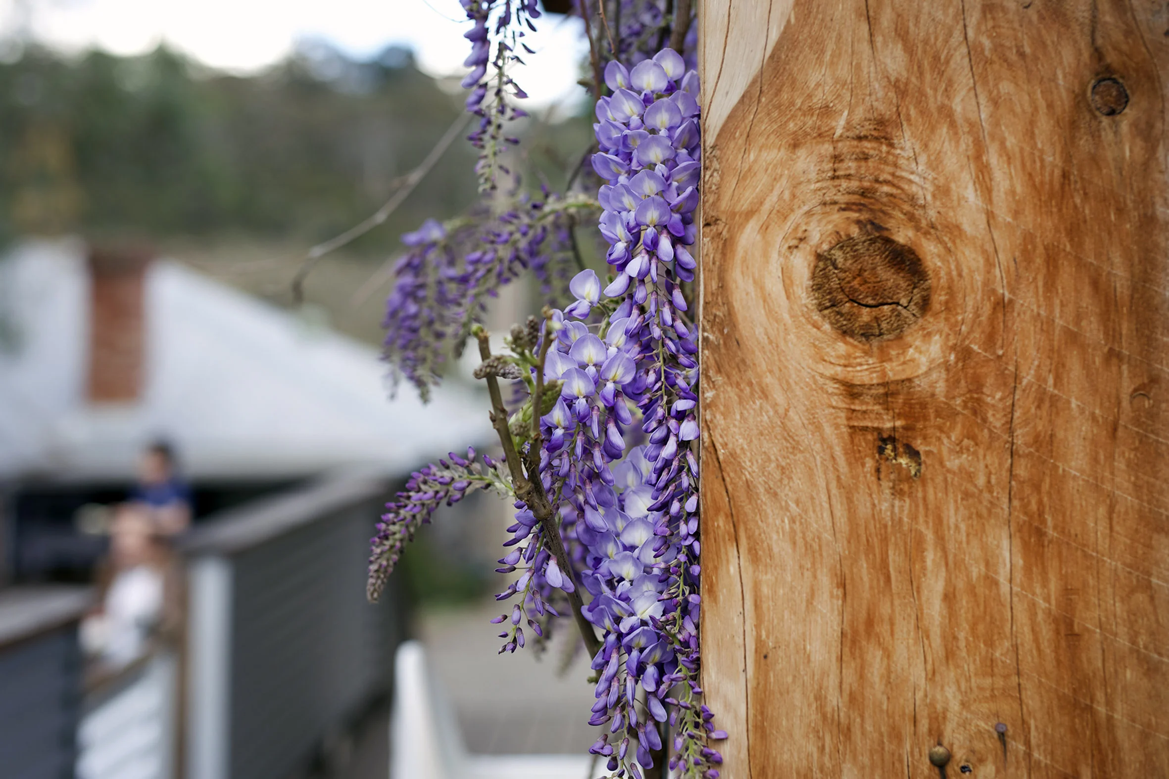 Farm cafe wedding melbourne.jpg