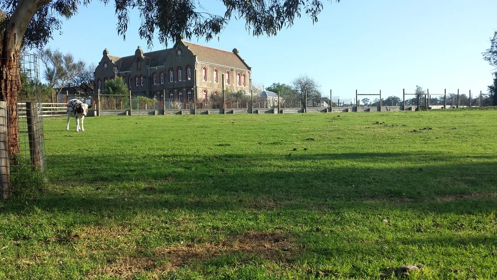 CollingwoodChildrensFarm.jpg