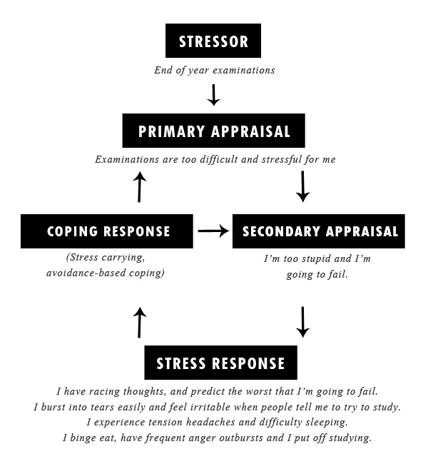 session4flowchart_jeannie1.jpg