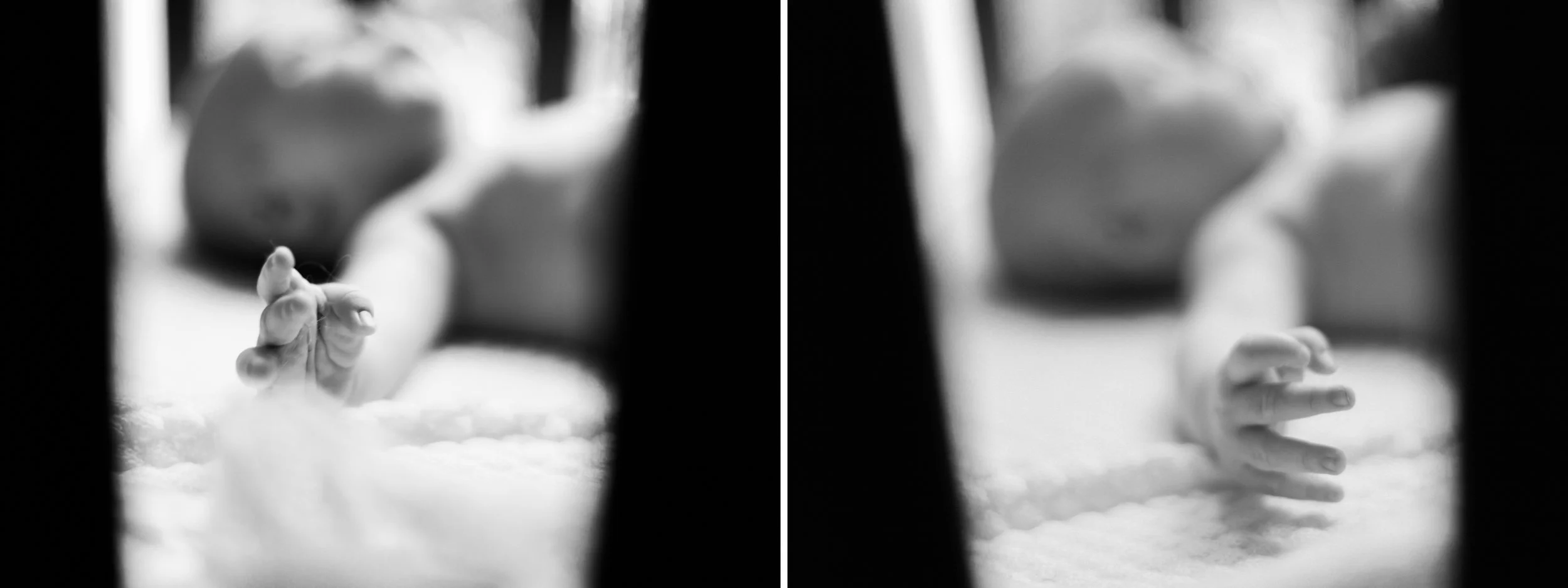 Untitled3.jpg