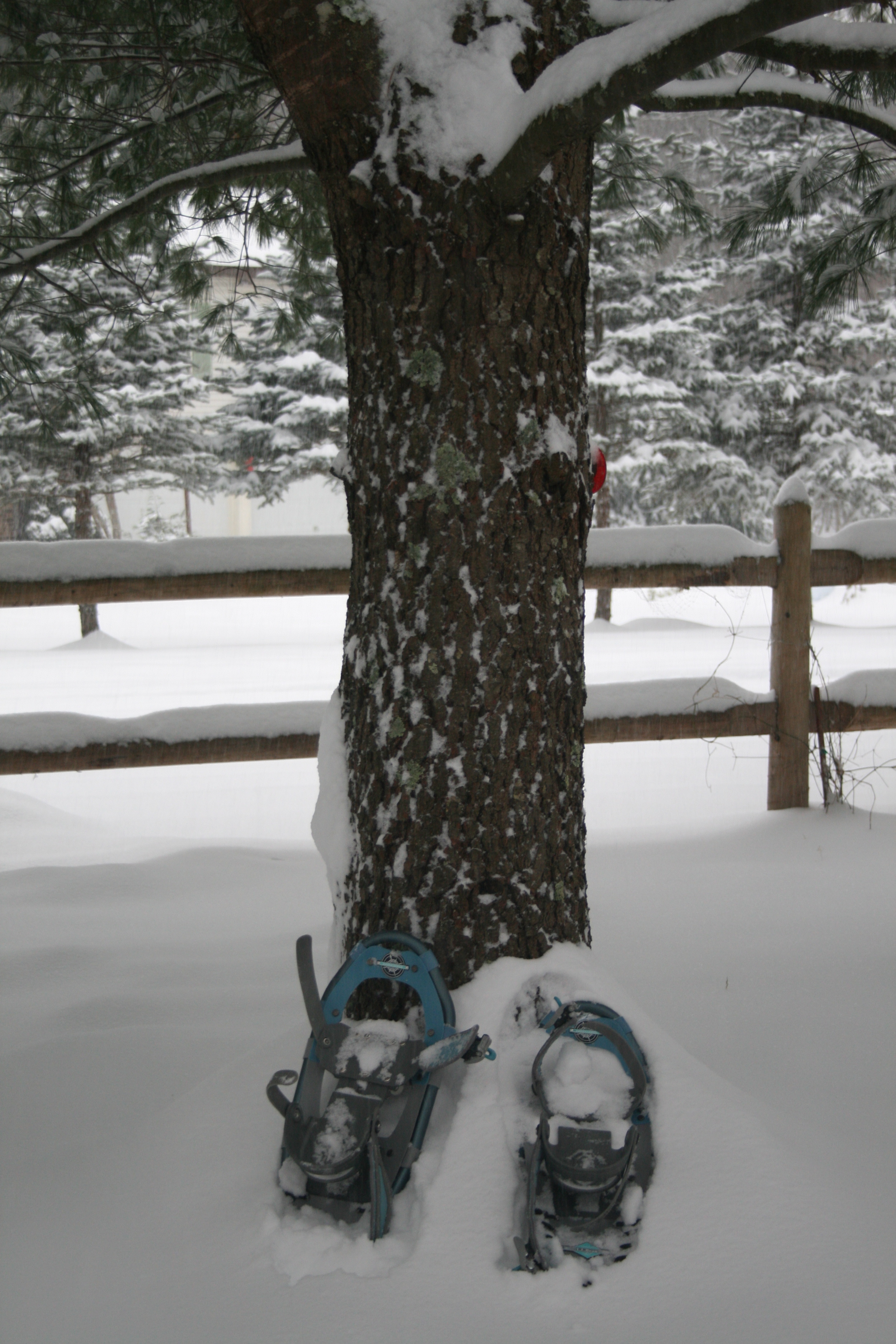 Much more opportunity to wear snow shoes than Jimmy Choos. And frankly, a lot more fun.