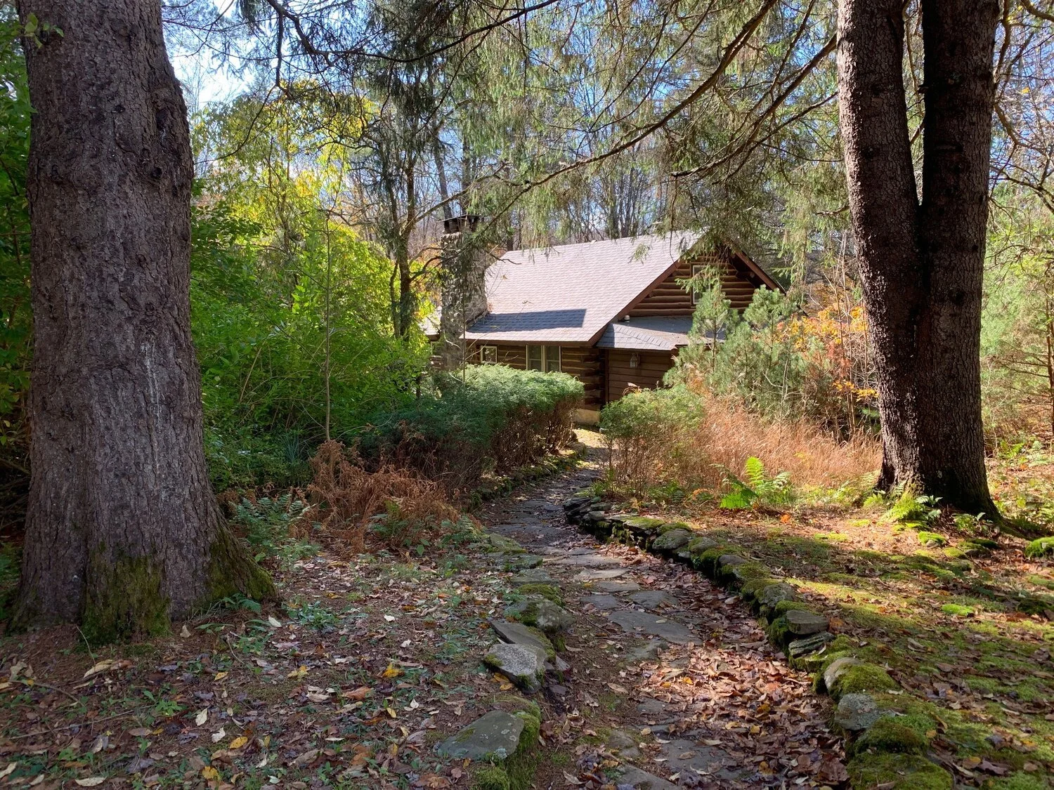 Blue Deer Cabin: Claryville, NY