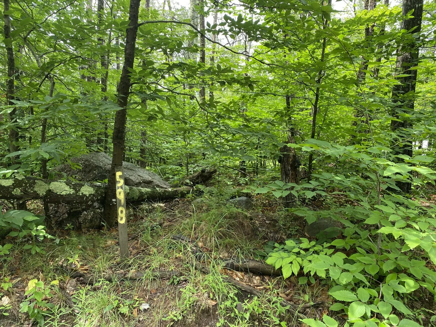 Red Hill Knolls: Claryville, NY