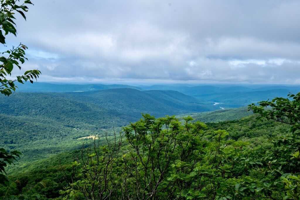 Dry Brook Ridge Trail