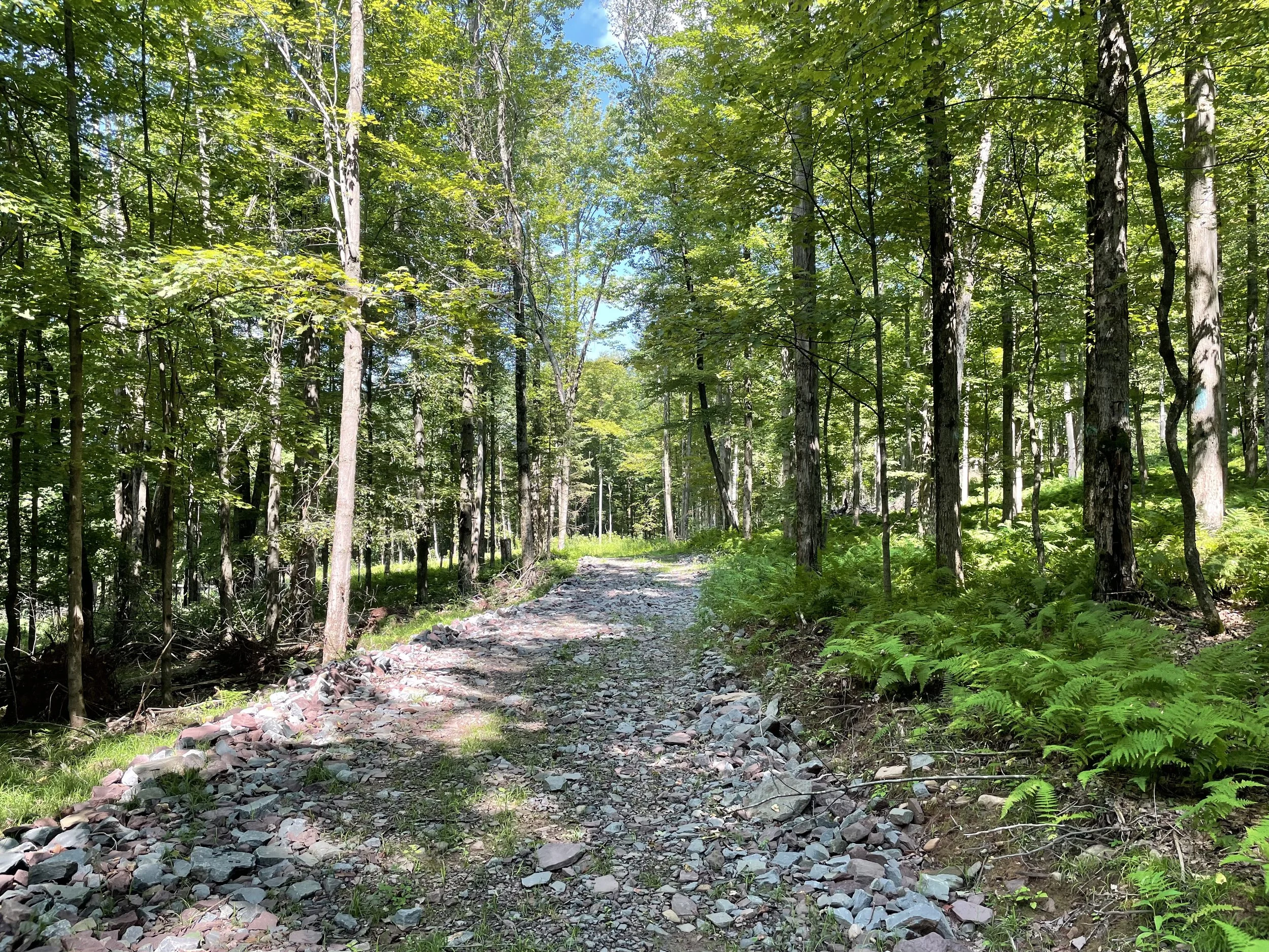 Boband Acres: Youngsville, NY