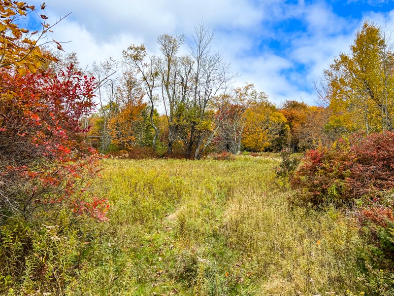 100 acres for sale in Sullivan county