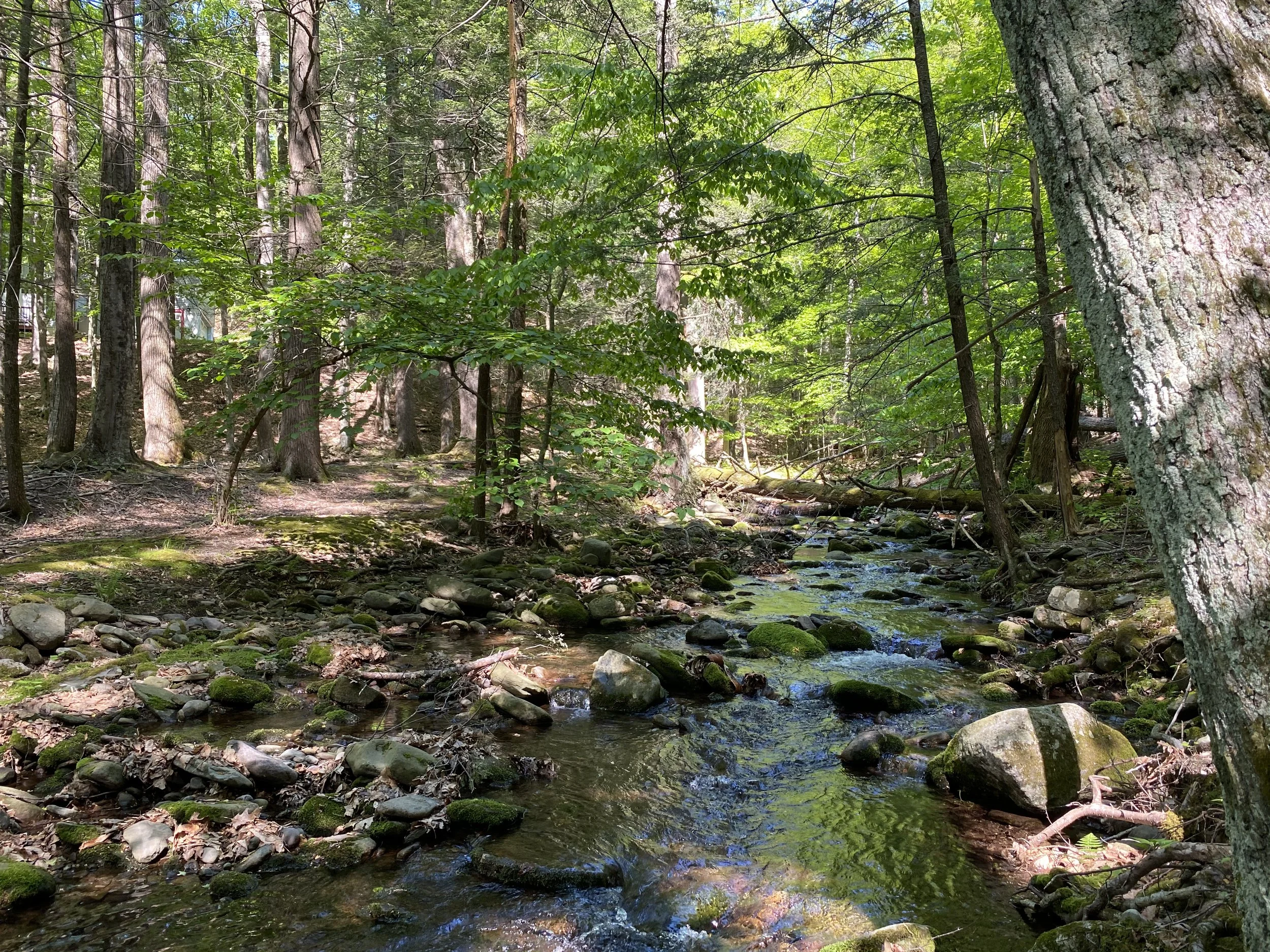 Hillside Hideaway Lot 1: Olive, NY