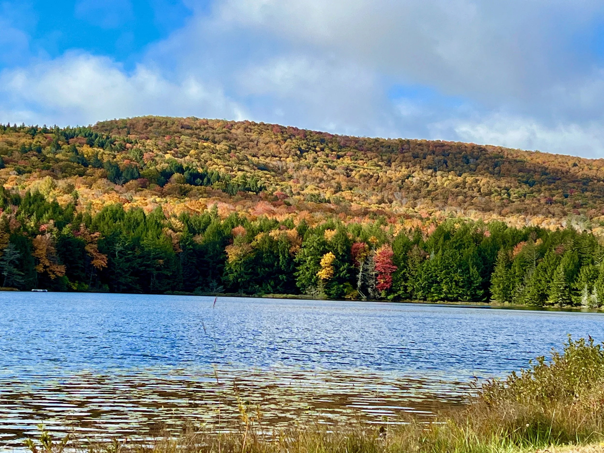 Guide to the Best of Claryville, NY